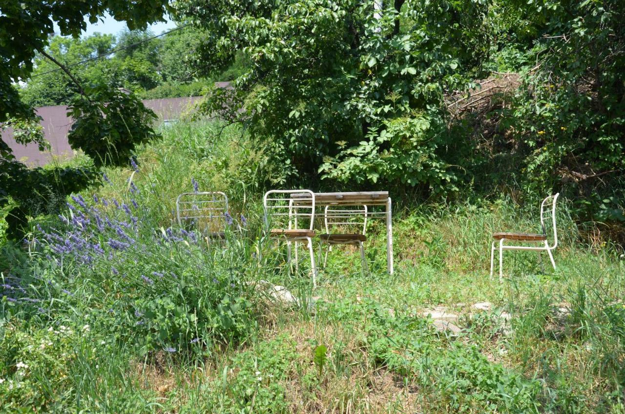 Dom S Vyhladom Apartman Banská Štiavnica Kültér fotó